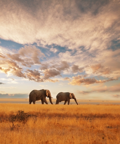Kenya