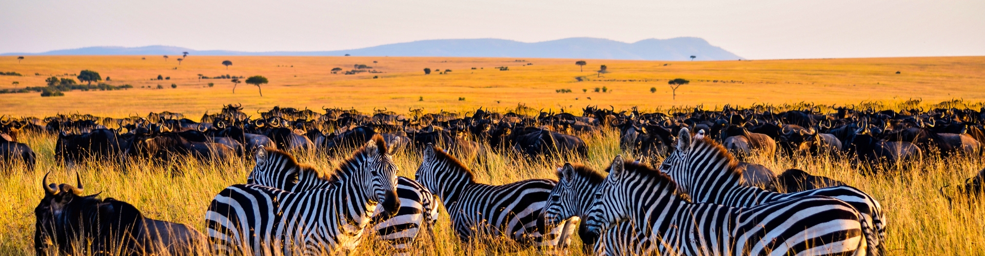 Kenya